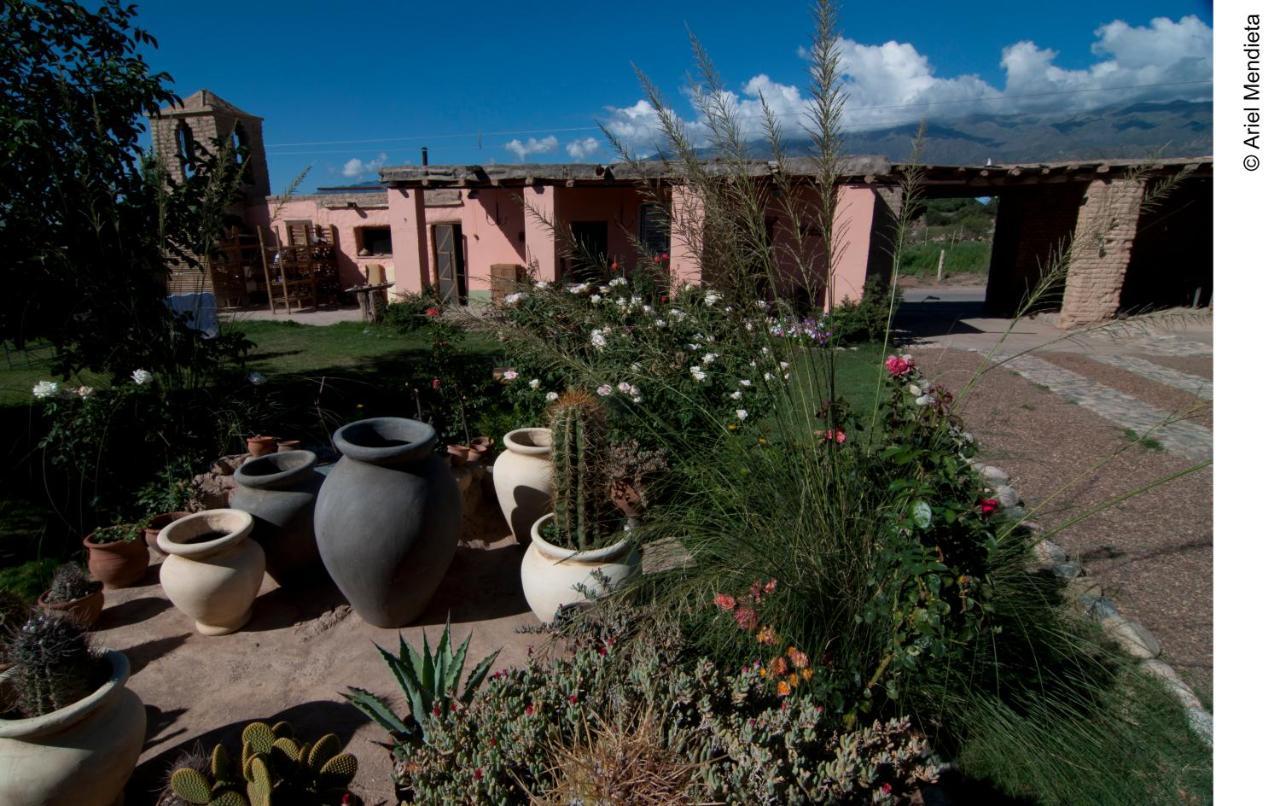 Finca Huayrapuca Famatina Екстер'єр фото